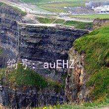 ѡ