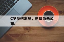 爱游戏最新首页登录-C罗受伤离场，伤情尚未公布。